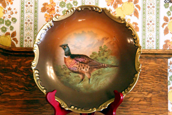 Plate painted with pheasant at Miramont Castle. Manitou Springs, CO.