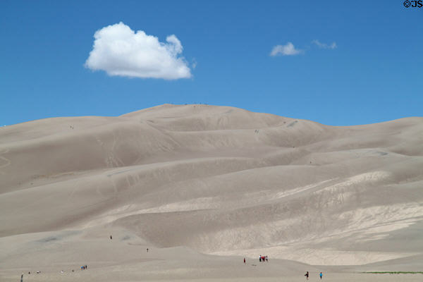 Mountains of sand at Great Sand Dunes National Park. CO.
