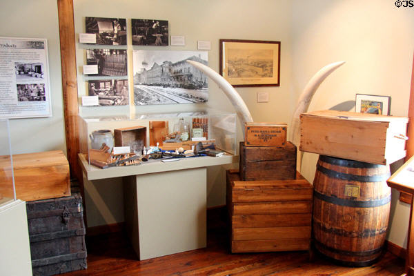 Display of items from River Valley industries including elephant tusks which fed Connecticut's ivory industry at Connecticut River Museum. Essex, CT.