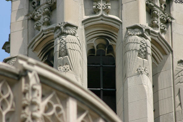 Pair of owls on Sterling Law Building. New Haven, CT.