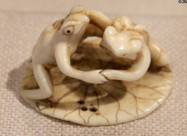 Japanese ivory Netsuke of two frogs wrestling on lotus leaf (19thC) at Yale University Art Gallery. New Haven, CT.