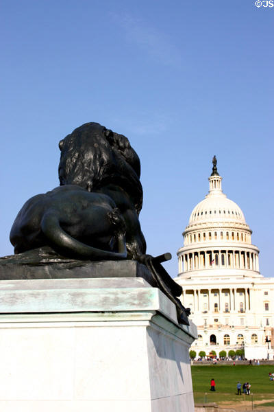 Lion from Grant Memorial watches over Capitol Hill. Washington, DC.