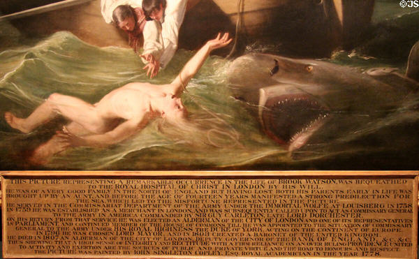 Detail of Watson & the Shark (1778) by John Singleton Copley at National Gallery of Art. Washington, DC.