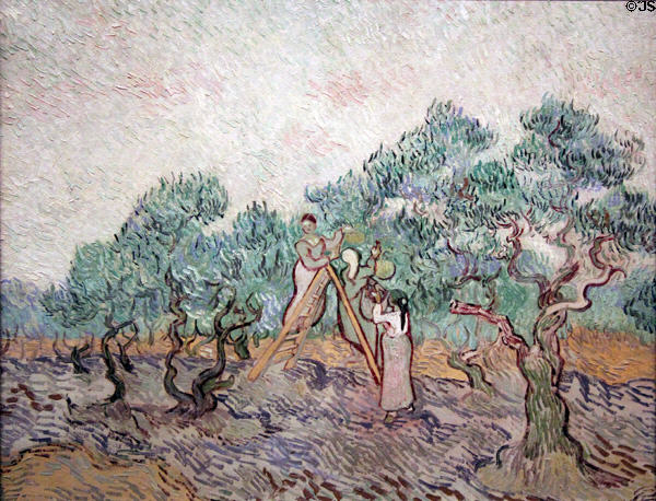 Olive Orchard painting (1889) by Vincent van Gogh at National Gallery of Art. Washington, DC.