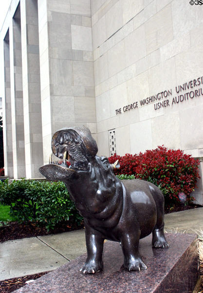 Statue of hippopotamus which legend says George Washington watched in the river near Mount Vernon stands in front of Usner Auditorium on campus of George Washington University. Washington, DC.