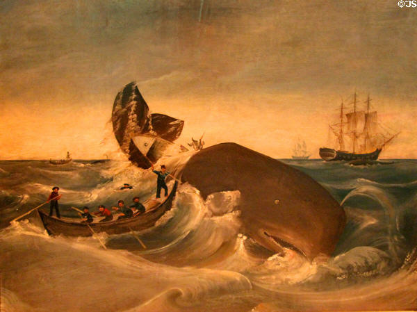 Capturing a Sperm Whale painting (after 1835) after sketch by whaler Cornelius Hulsart at National Museum of American History. Washington, DC.