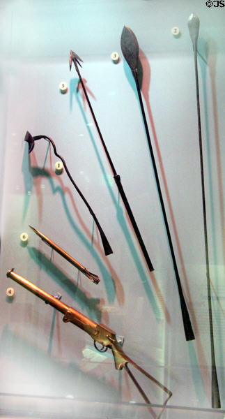 Collection of lances & harpoons (c1880s) used by American whaling industry at National Museum of American History. Washington, DC.