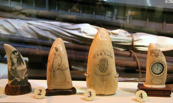 Collection of scrimshaw whale teeth (mid 1800s) at National Museum of American History. Washington, DC.
