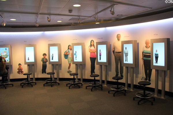 Interactive gallery in Koshland Science Museum. Washington, DC.