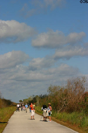 Path through Everglades National Park. FL.
