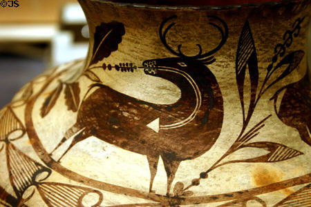 Detail of deer on Southwestern US Pueblo clay pot (c1875) at Historical Museum of Southern Florida. Miami, FL.