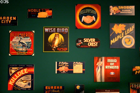 Citrus fruit product labels from Orange County where orange growing got its American start in Regional History Center. Orlando, FL.