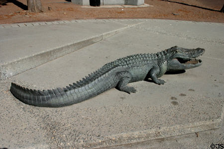 Alligator sculpture by Craig T. Ustler in Heritage Square Park. Orlando, FL.