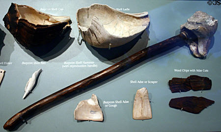 Native American shell tools collected in Museum of Florida History. Tallahassee, FL.