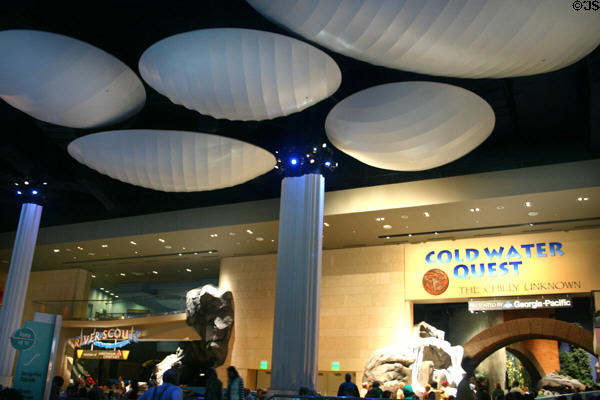 Interior ceiling shells in Georgia Aquarium. Atlanta, GA.