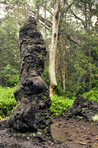 Lava Tree State Monument where tree trunks left molded holes in lava, near Hilo. Big Island of Hawaii, HI.