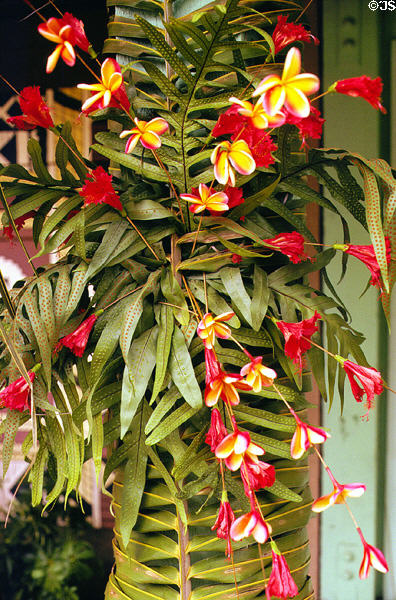 Floral arrangement at Polynesian Cultural Center. Oahu, HI.