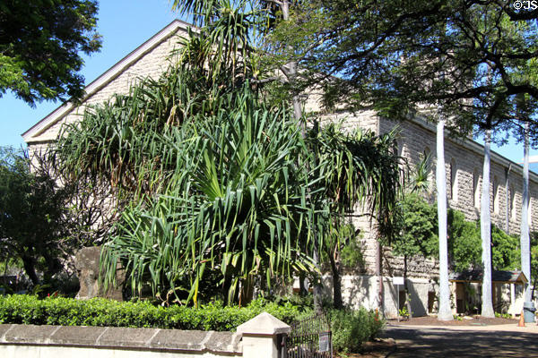 Kawaiaha'o Church with Hala plant (<i>Pandanus tectorius</i>). Honolulu, HI.