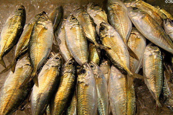 Fish for sale in Honolulu Chinatown. Honolulu, HI.