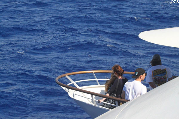 Whale watching aboard Atlantis Navatek I Cruise boat. Waikiki, HI.