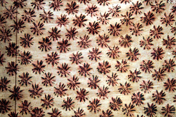 Hawaiian Kapa Kilohana bark cloth (19thC) of beaten paper mulberry tree at Honolulu Academy of Arts. Honolulu, HI.
