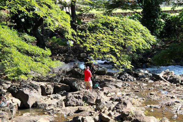 Lili' Uokalani Botanical Gardens follows rocky stream. Honolulu, HI.