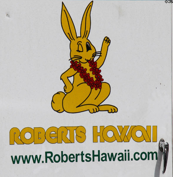 Rabbit on tourist bus in Oahu. HI.
