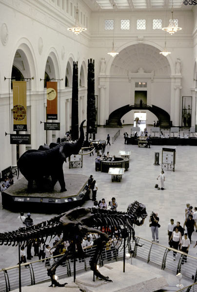 Great Hall in Field Museum of Natural History. Chicago, IL.
