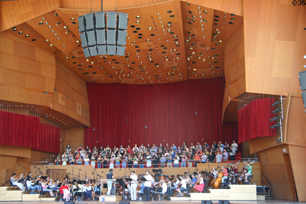Stage of Gehry's Pritzker Pavilion in Millennium Park. Chicago, IL.
