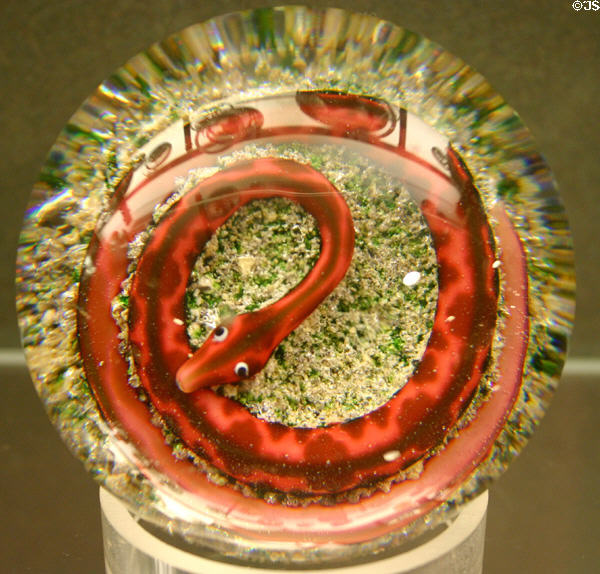 Red glass snake paperweight at Illinois State Museum. Springfield, IL.