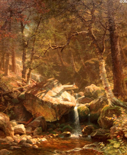 Mountain Brook painting (1863) by Albert Bierstadt at Art Institute of Chicago. Chicago, IL.