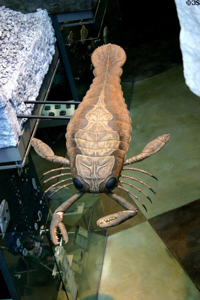 Model of ancient creature in Indiana State Museum. Indianapolis, IN.