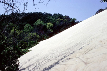 Mount Baldy giant sand dune at Indiana Dunes National Lakeshore. Indianapolis, IN.