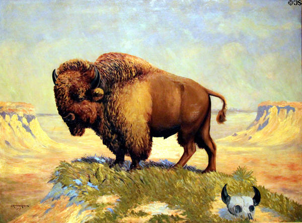 Buffalo painting (1909) by Coy Avon Seward at Sedgwick County Historical Museum. Wichita, KS.
