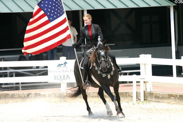 Andalusian breed from Spain carries rider with American flag at Kentucky Horse Park. Lexington, KY.