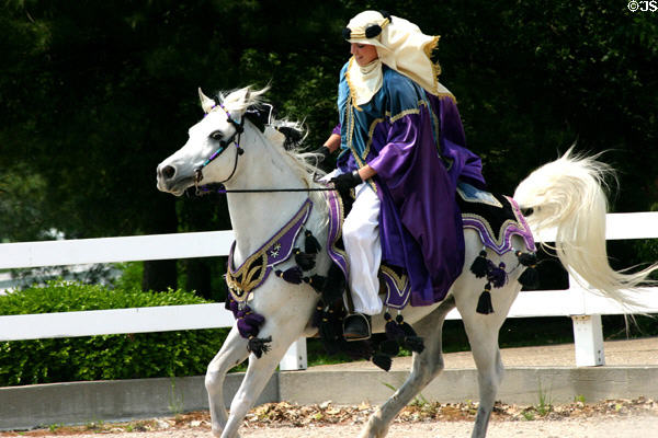 Arabian horse with rider in Arabian robes at Kentucky Horse Park. Lexington, KY.