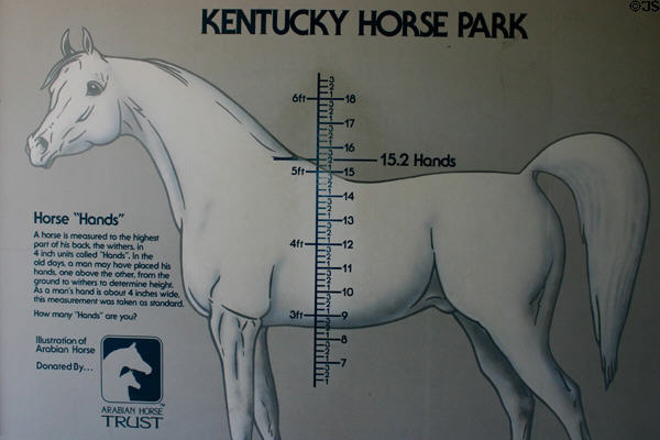 Display of how horse is measured in hands at Kentucky Horse Park. Lexington, KY.