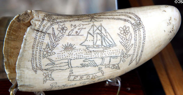 Scrimshaw (c1917) by Jayme Fortes stippled with whaling schooner John R. Manta of Provincetown at New Bedford Whaling Museum. New Bedford, MA.