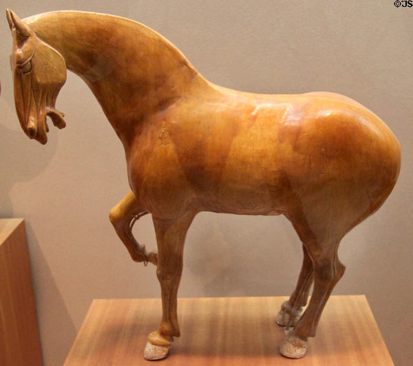 Chinese Tang Dynasty stoneware horse (618-907) at Museum of Fine Arts. Boston, MA.