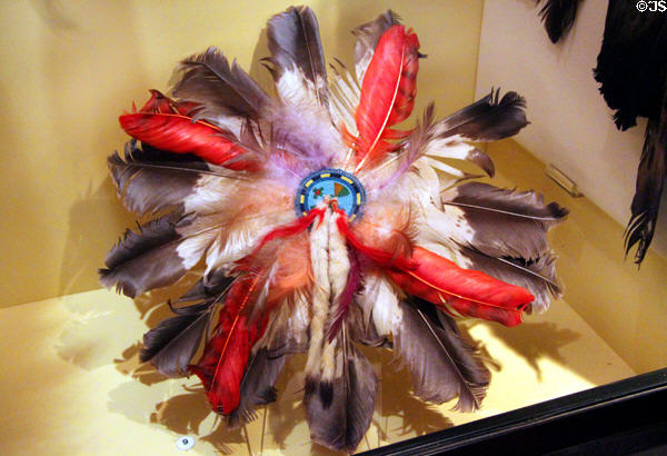 Plains Cree feather & ermine Grass Dance bustle (c1909) at Peabody Museum. Cambridge, MA.