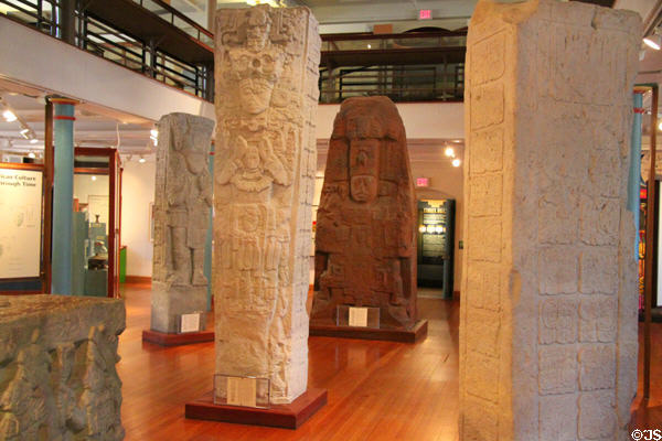Gallery of Mayan carved monoliths from Copan, Honduras at Peabody Museum. Cambridge, MA.