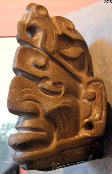 Mayan stone human head with animal head helmet effigy (600-800) at Peabody Museum. Cambridge, MA.