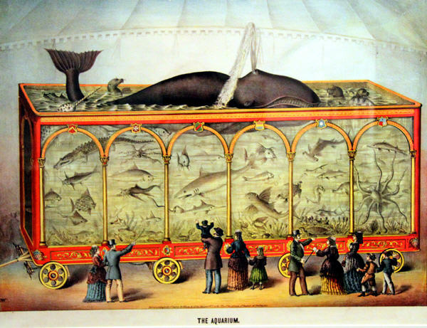 Advertising lithograph (1873) for Silverberg's Monster Menagerie & Circus shows aquarium in railway car of at Peabody Essex Museum. Salem, MA.