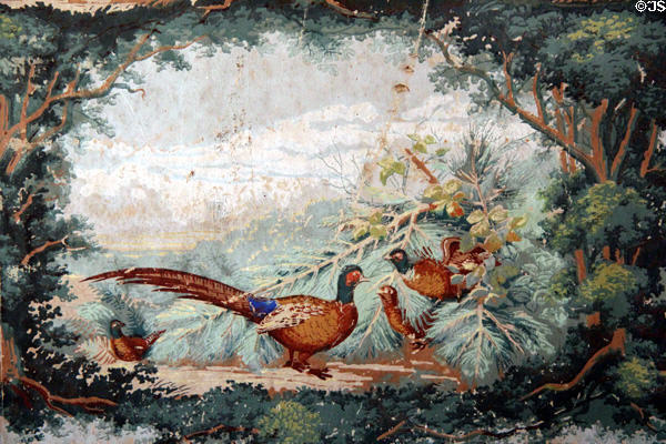Pheasant room wallpaper (1850s) detail at Rev. John Hale House. Beverly, MA.