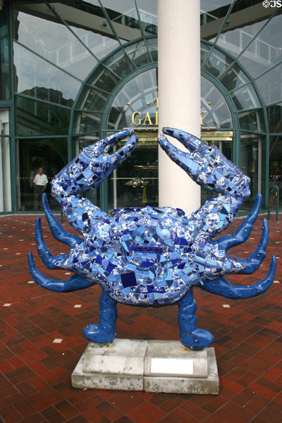 Blue Crab by Leslie F. Miller. Baltimore, MD.