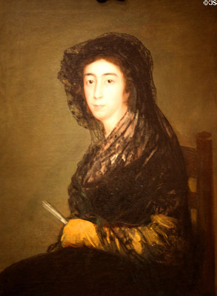 Portrait of Doña Amalia Bonells de Costa (c1805 & 13) by Francisco de Goya at Detroit Institute of Arts. Detroit, MI.