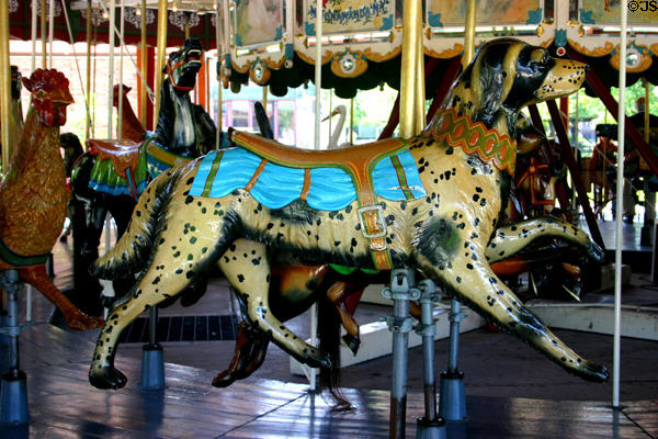 Saddled dog on Herschell-Spillman Carousel at Greenfield Village. Dearborn, MI.