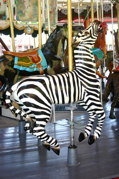 Zebra on Herschell-Spillman Carousel at Greenfield Village. Dearborn, MI.