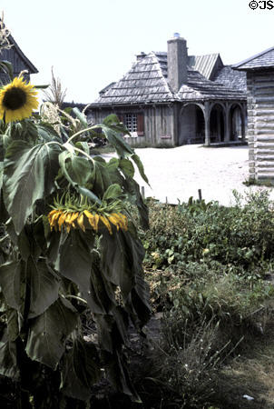 Guardhouse with sunflowers at Colonial Michilimackinac. Mackinaw City, MI.