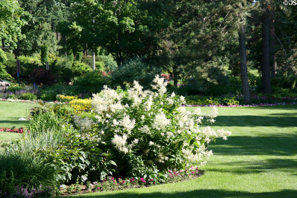 Natural setting of Munsinger Botanical Gardens. St. Cloud, MN.